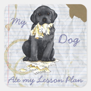 My Black Lab Ate My Lesson Plan Square Sticker