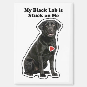 My Black Lab Is Stuck On Me Dog Lover Magnet