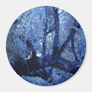 My blue Winter.... Magnet