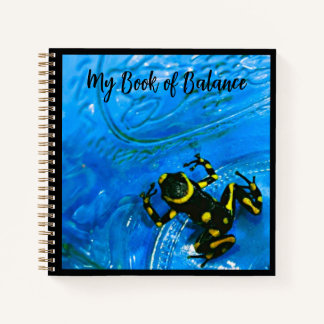 My Book of Balance Spiral Notebook