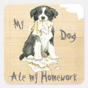 My Border Collie Ate my Homework Square Sticker