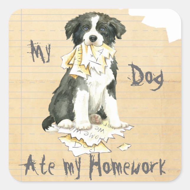 My Border Collie Ate my Homework Square Sticker (Front)