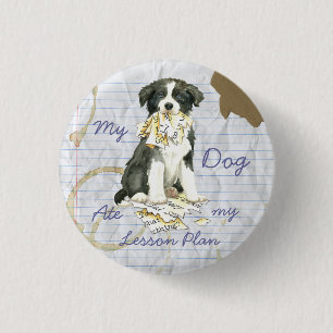 My Border Collie Ate my Lesson Plan 3 Cm Round Badge