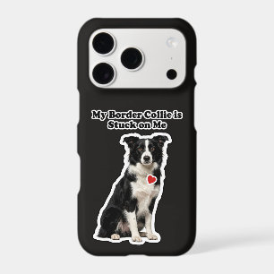 My Border Collie Is Stuck On Me Dog Lover