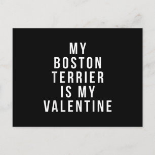 My Boston Terrier Is My Valentine T-Shirt Announcement Postcard