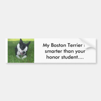 My Boston Terrier is smarter than your honour s. Bumper Sticker