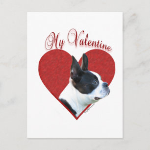 My Boston Terrier Valentine Holiday Postcard