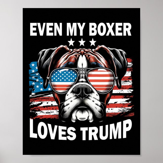 My Boxer Loves Trump  Poster (Front)