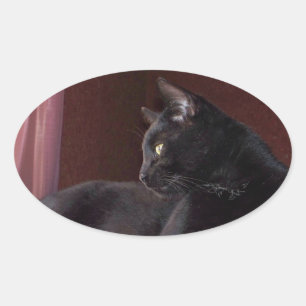 My Boy, Charlie Oval Sticker
