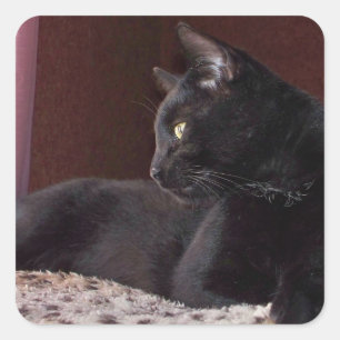 My Boy, Charlie Square Sticker