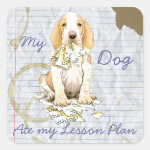 My Bracco Italiano Ate my Lesson Plan Square Sticker