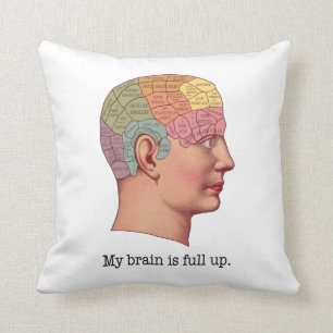 My Brain is Full Up Cushion