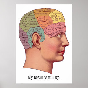 My Brain is Full Up Poster