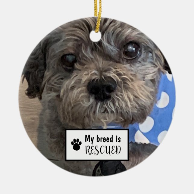 My Breed Is Rescued Pet Photo Ceramic Ornament (Front)