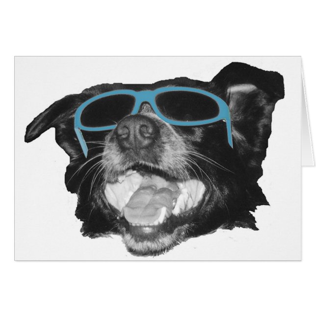 My Buddy  (Front Horizontal)