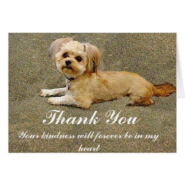 My Buddy_ (Front Horizontal)