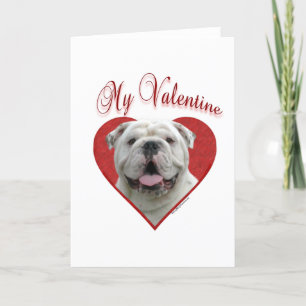 My Bulldog Valentine Holiday Card