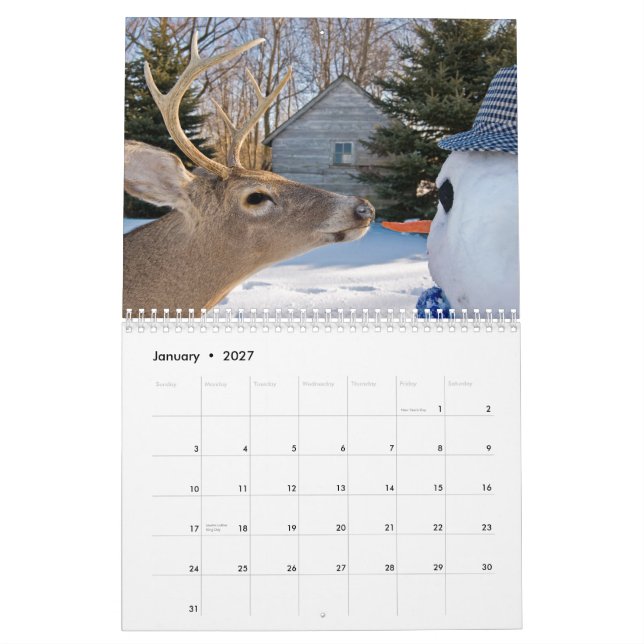My calendar (Jan 2027)