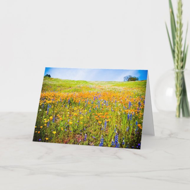 My California 1 Card (Front)