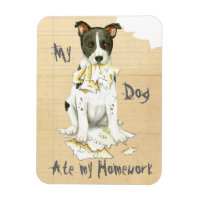 My Canaan Dog Ate My Homework