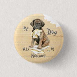 My Cane Corso Ate My Homework 3 Cm Round Badge