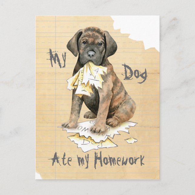 My Cane Corso Ate My Homework Postcard (Front)