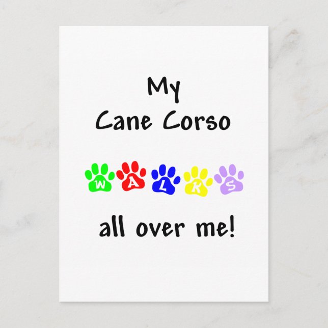 My Cane Corso Walks All over Me Postcard (Front)