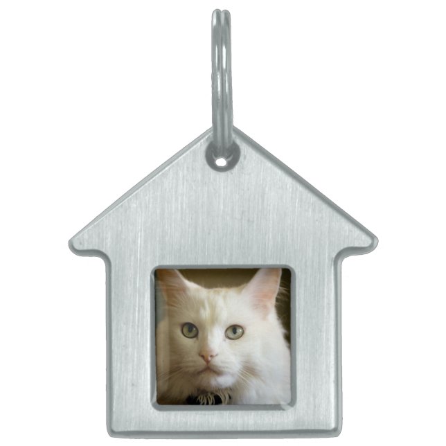 My Cat 2 Pet Tag (Front)