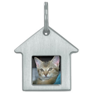 My Cat 3 Pet Tag