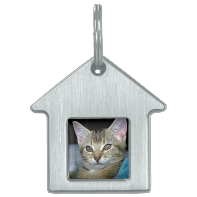 My Cat 3 Pet Tag (Front)