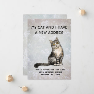 My cat and I have moved Announcement