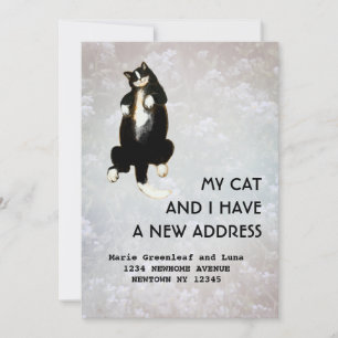 My cat and I have moved Announcement
