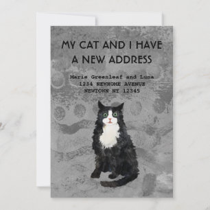 My cat and I have moved Announcement