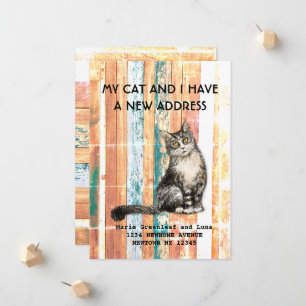 My cat and I have moved Announcement
