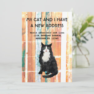 My cat and I have moved Announcement