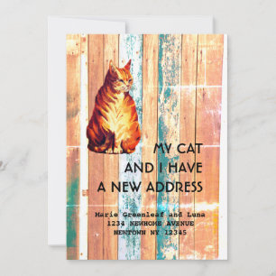 My cat and I have moved Announcement