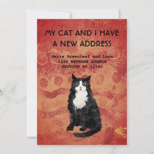 My cat and I have moved Announcement