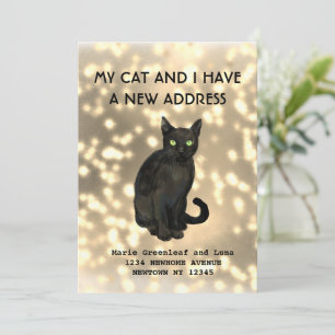 My cat and I have moved Announcement