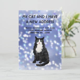 My cat and I have moved Announcement