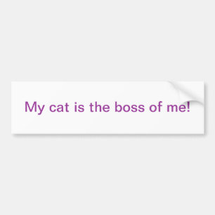 My cat bumper sticker