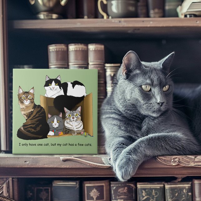 My Cat has Cats Ceramic Tile (Creator Uploaded)