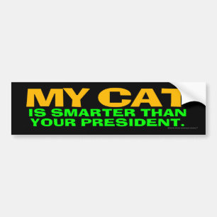 My Cat Is Smarter Than Your President Bumper Sticker