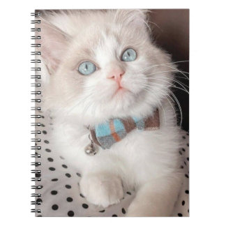 my cat notebook