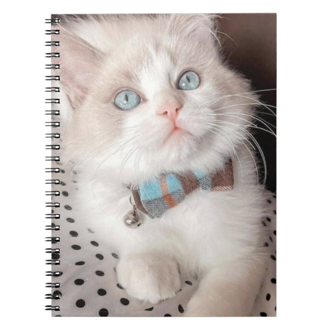 my cat notebook (Front)