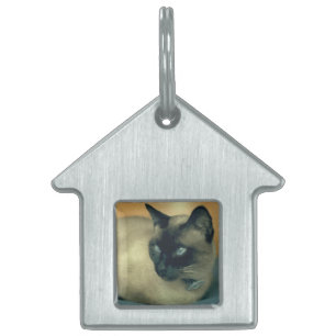 My Cat Pet Tag