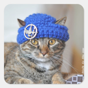 My cat wears hats stickers