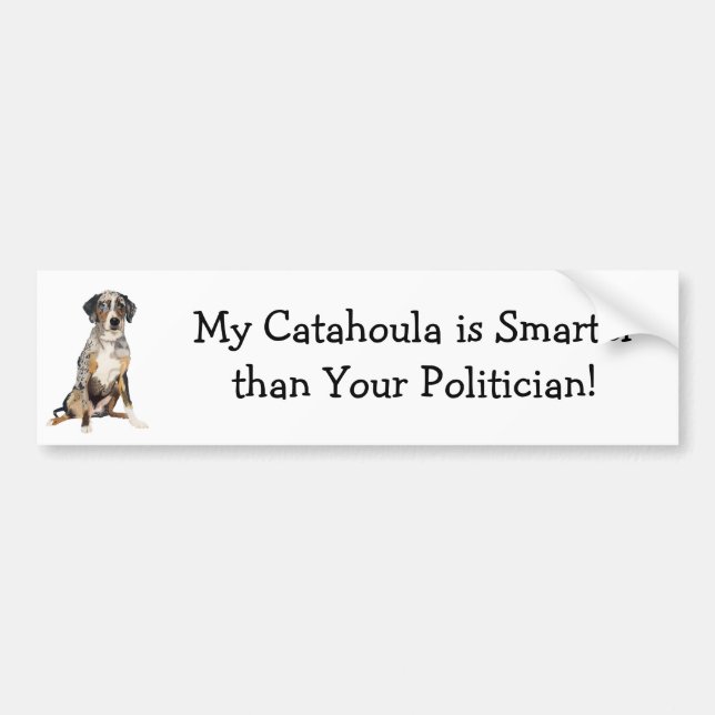 My Catahoula is Smarter Than your Politician Bumper Sticker (Front)