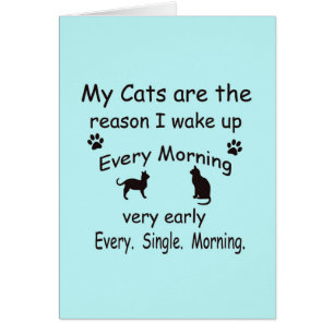 My Cats are the Reason I Wake Up