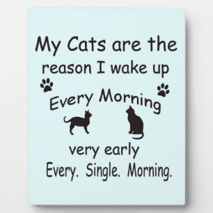My Cats are the Reason I Wake Up Plaque