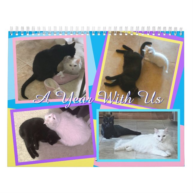 My Cats Calendar (Cover)